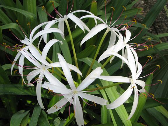 ���� ���� - ���� ����